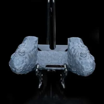 Skulls Controller Cover - 3D Printed